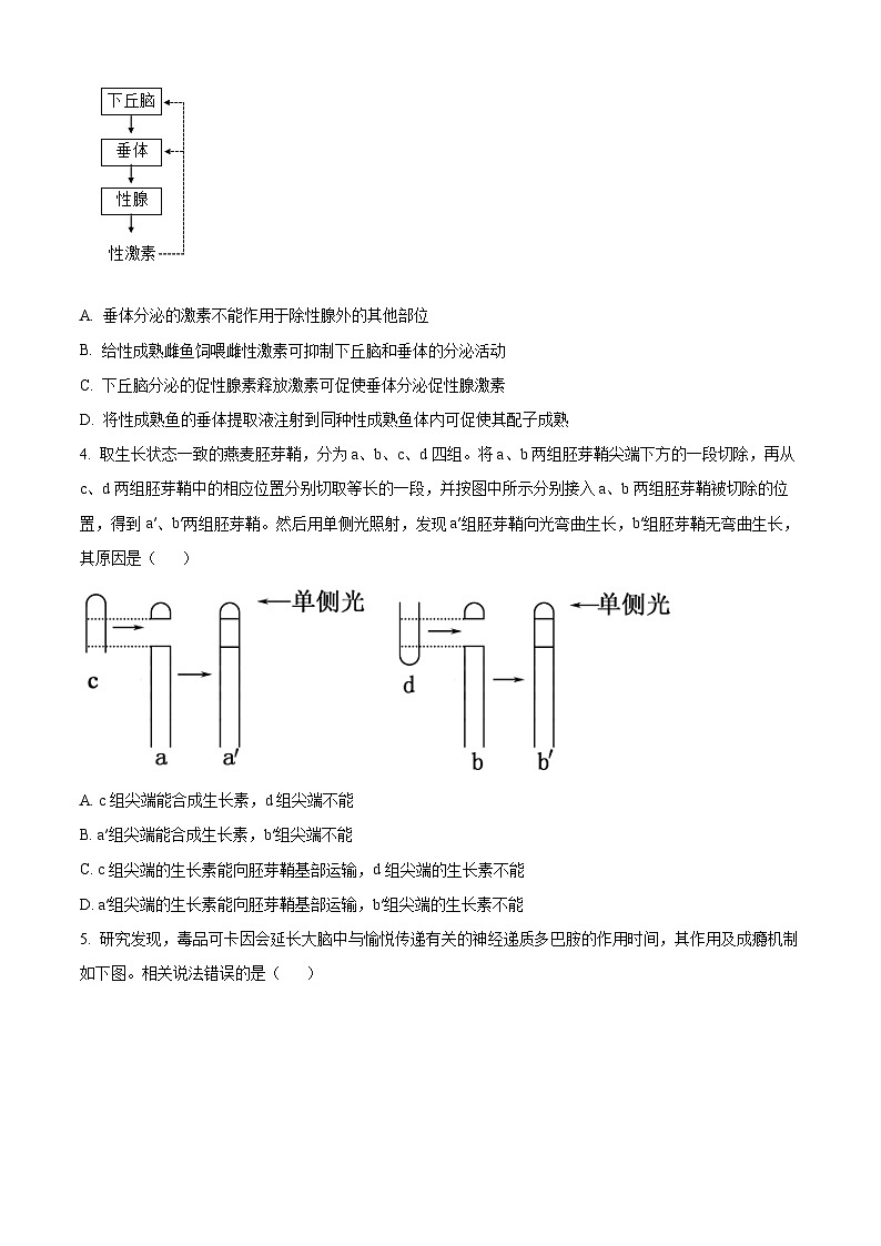 广东省汕头市澄海区2023-2024学年高二上学期期末考试生物试卷（Word版附解析）02