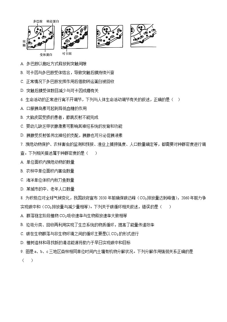 广东省汕头市澄海区2023-2024学年高二上学期期末考试生物试卷（Word版附解析）03