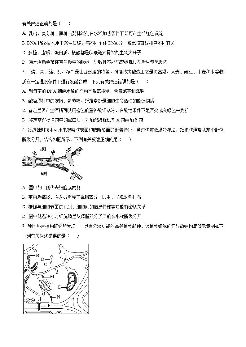 山西省吕梁市2023-2024学年高一上学期期末考试生物试卷（Word版附解析）02