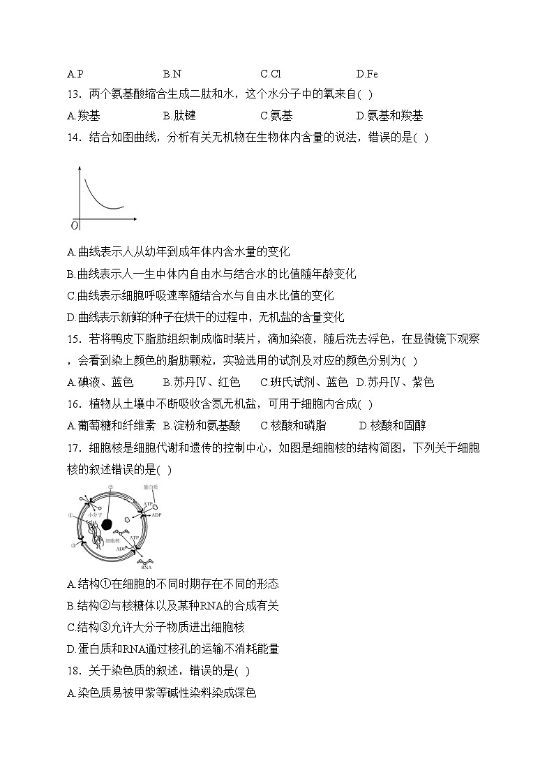 湖南省长沙市雨花区2023-2024学年高一上学期期末质量监测生物试卷(含答案)第3页