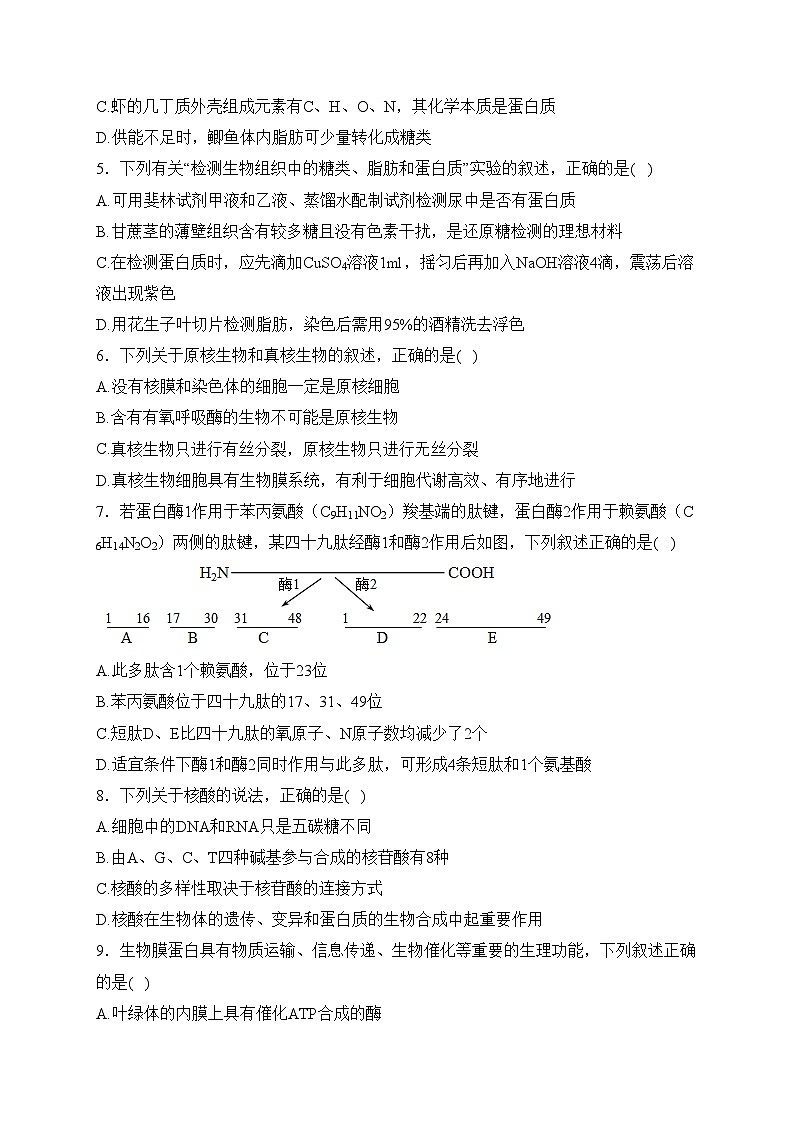 吉林省普通高中2023-2024学年高一上学期1月期末考试生物试卷(含答案)02