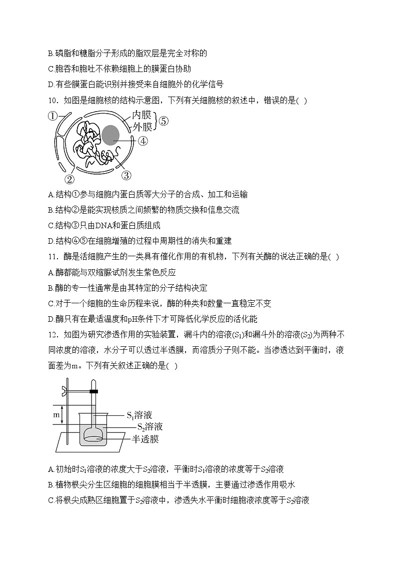 吉林省普通高中2023-2024学年高一上学期1月期末考试生物试卷(含答案)03