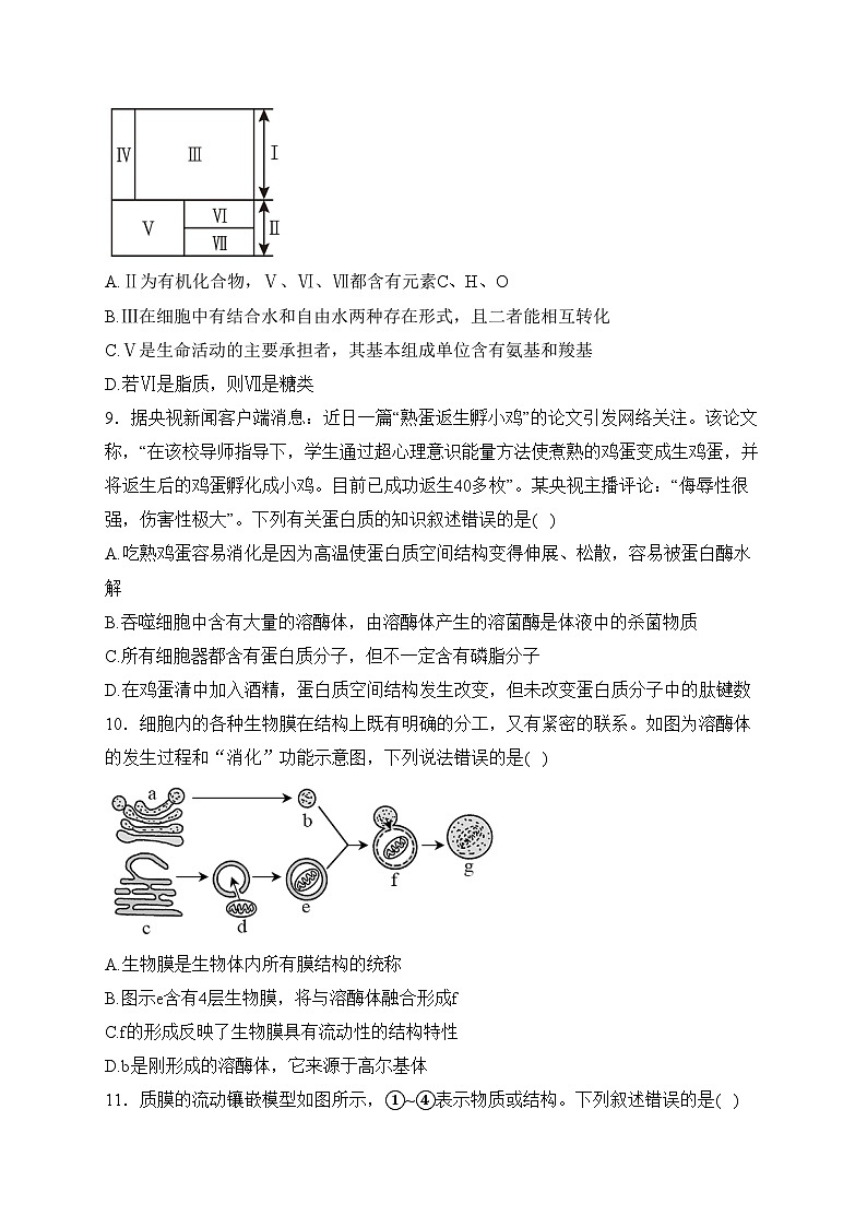 内蒙古自治区赤峰市阿鲁科尔沁旗天山第一中学2023-2024学年高一上学期期中考试生物试卷(含答案)第3页