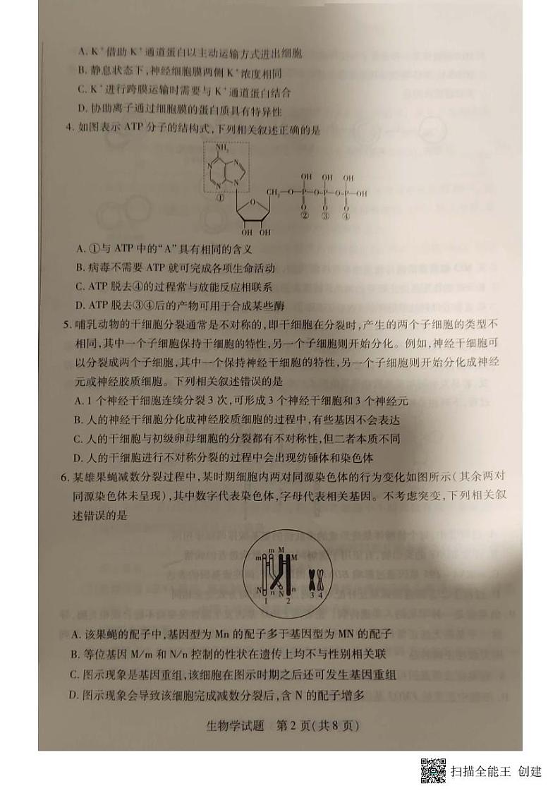 安徽省亳州市普通高中2023-2024学年高三上学期1月期末质量检测生物试题02