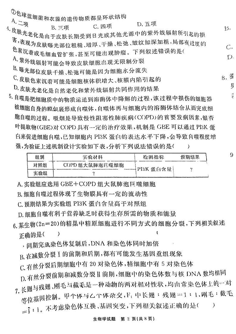 安徽省耀正优2023-2024学年高三上学期期末测试生物试题02