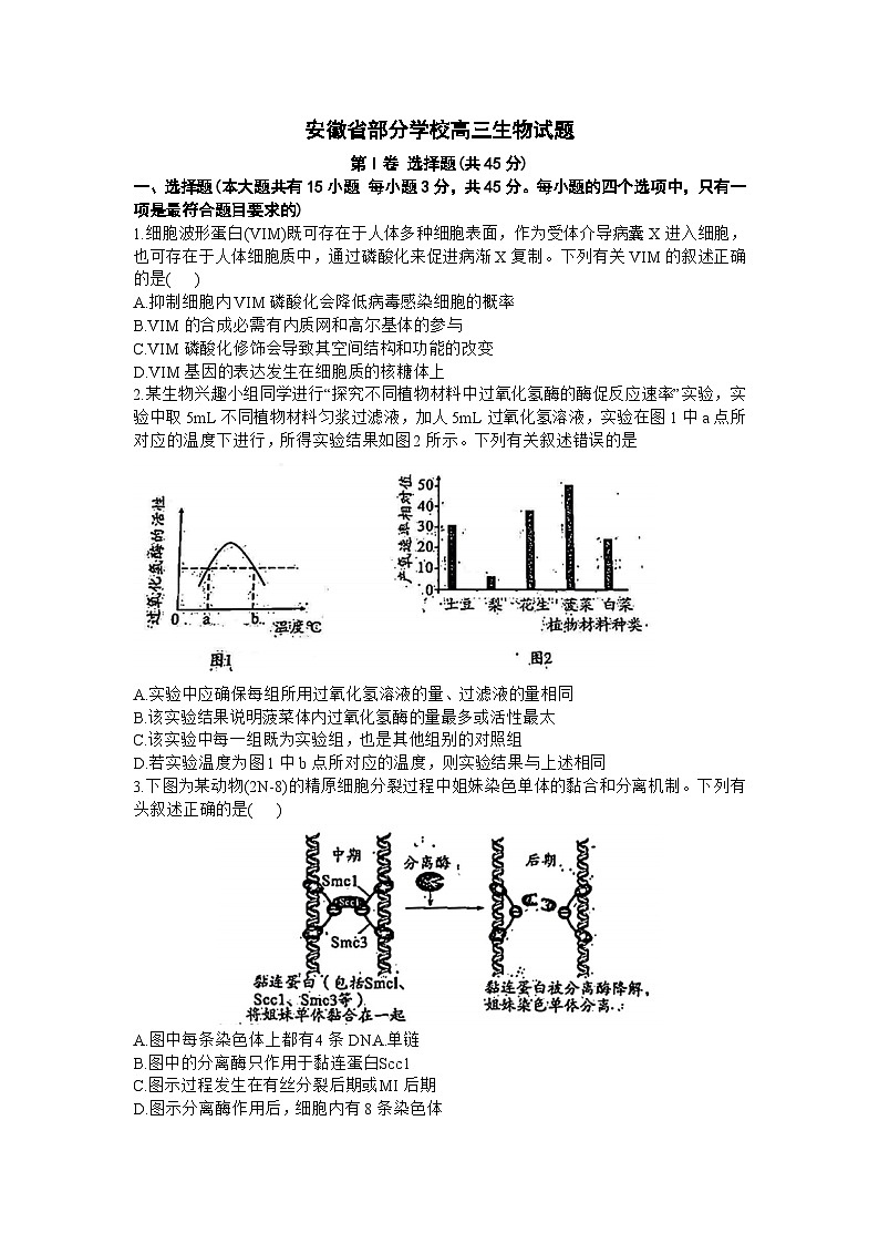 安徽省部分学校2023-2024学年高三下学期开学考试生物试题01