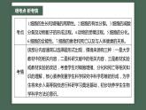 第一篇　主题一　专题(二)　命题点1　有丝分裂和减数分裂 2024年高考生物二轮复习课件+讲义