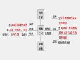 第一篇　主题一　专题(二)　命题点1　有丝分裂和减数分裂 2024年高考生物二轮复习课件+讲义