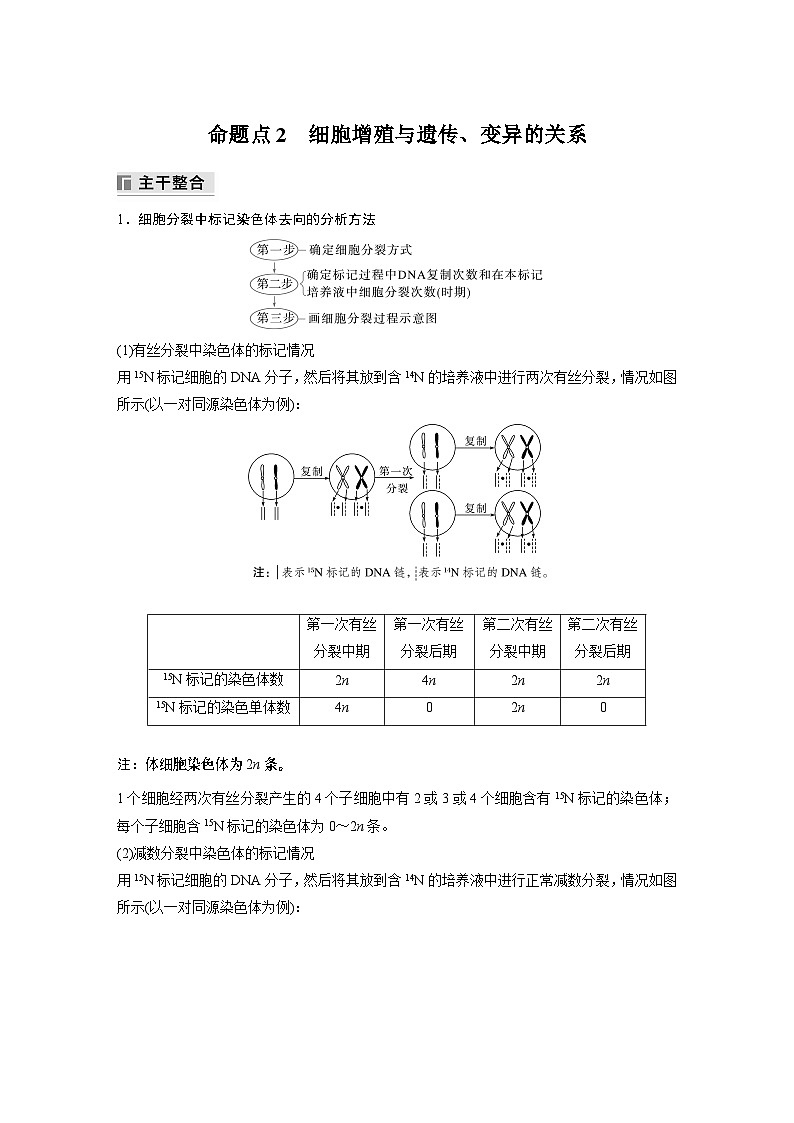 第一篇　主题一　专题(二)　命题点2　细胞增殖与遗传、变异的关系（教师版）第1页