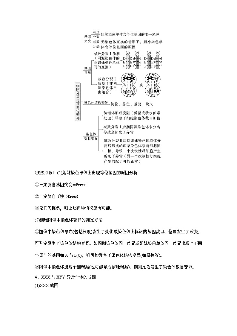 第一篇　主题一　专题(二)　命题点2　细胞增殖与遗传、变异的关系（教师版）第3页