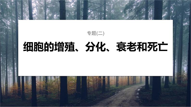 第一篇　主题一　专题(二)　命题点2　细胞增殖与遗传、变异的关系第1页