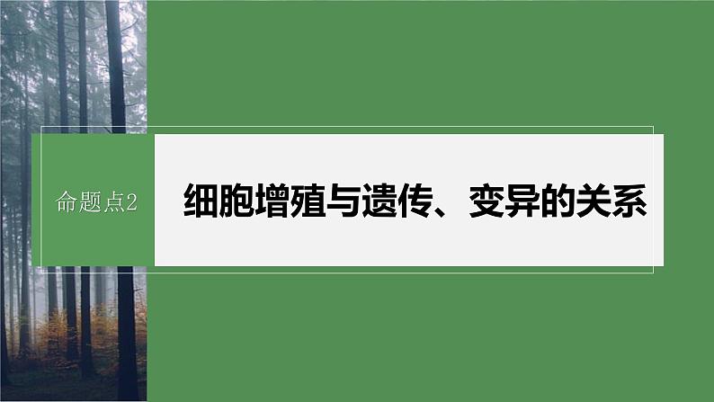 第一篇　主题一　专题(二)　命题点2　细胞增殖与遗传、变异的关系第2页