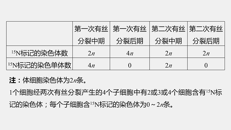 第一篇　主题一　专题(二)　命题点2　细胞增殖与遗传、变异的关系第6页