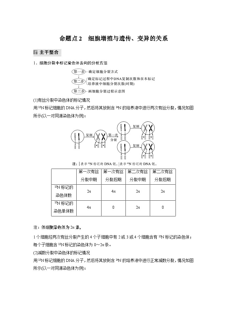 第一篇　主题一　专题(二)　命题点2　细胞增殖与遗传、变异的关系第1页