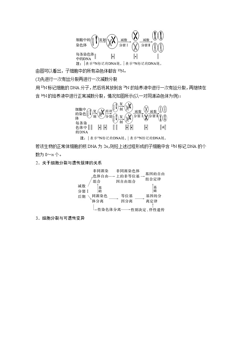第一篇　主题一　专题(二)　命题点2　细胞增殖与遗传、变异的关系第2页