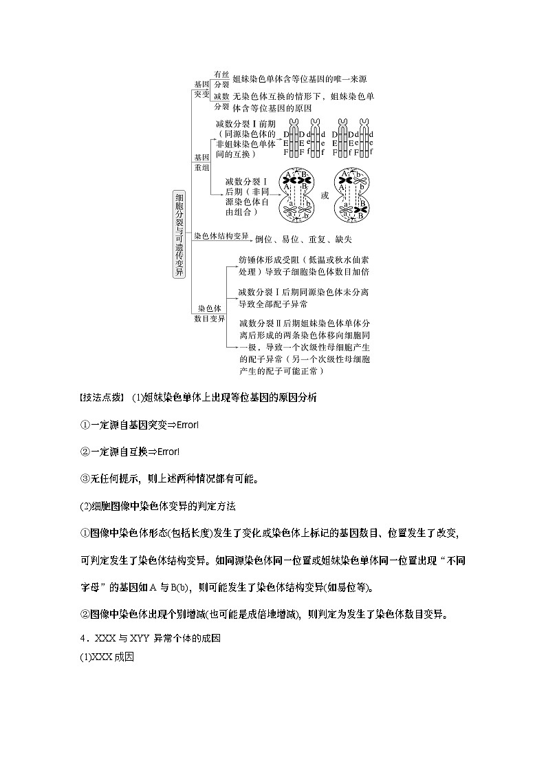 第一篇　主题一　专题(二)　命题点2　细胞增殖与遗传、变异的关系第3页