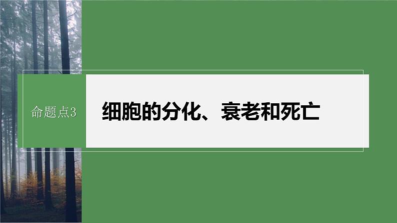 第一篇　主题一　专题(二)　命题点3　细胞的分化、衰老和死亡第2页