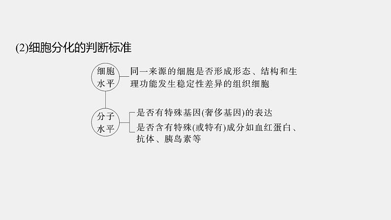 第一篇　主题一　专题(二)　命题点3　细胞的分化、衰老和死亡第5页