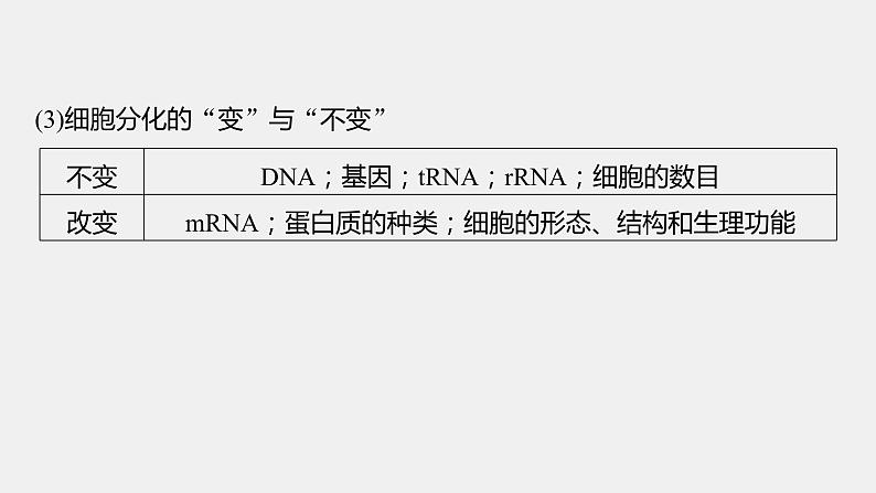 第一篇　主题一　专题(二)　命题点3　细胞的分化、衰老和死亡第6页