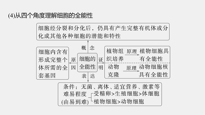 第一篇　主题一　专题(二)　命题点3　细胞的分化、衰老和死亡第7页