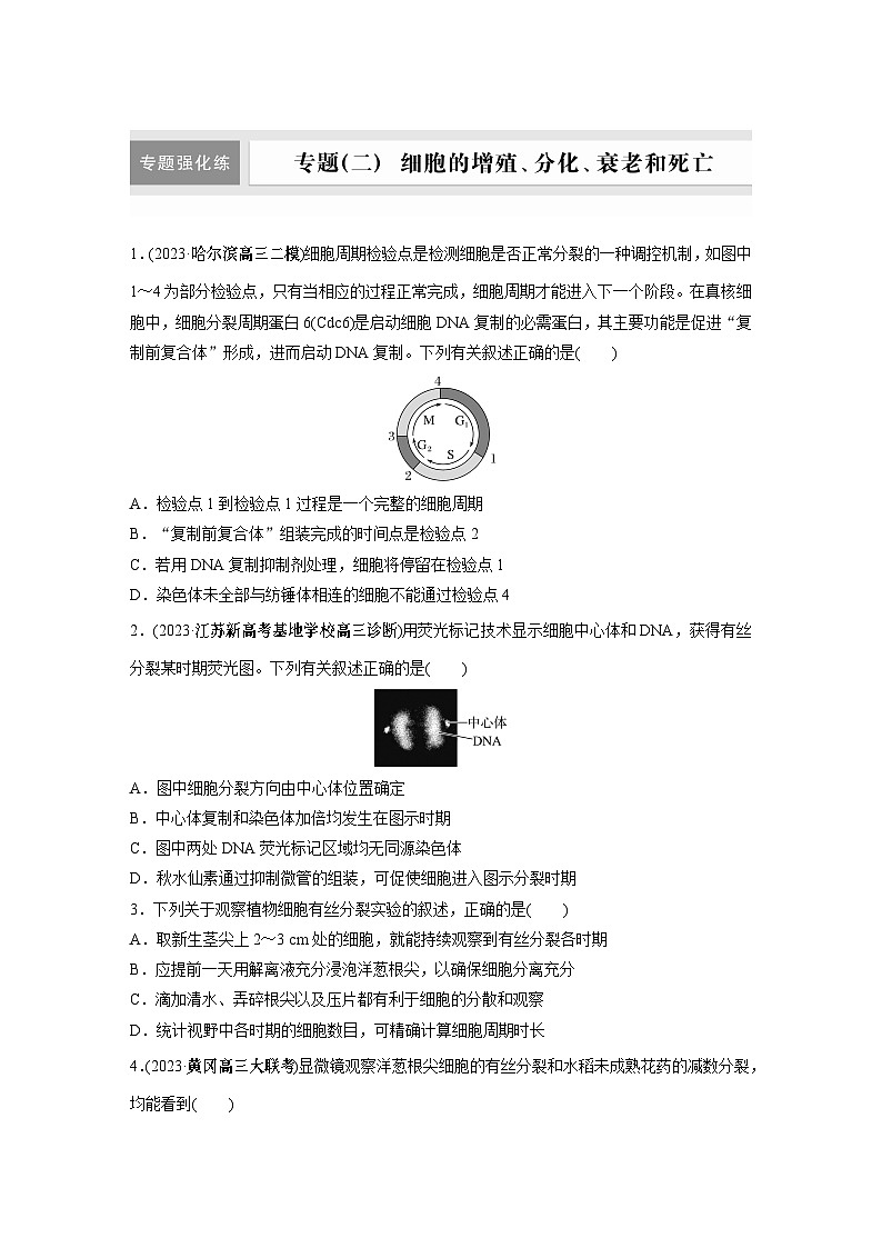 第一篇　主题一　专题(二)　专题强化练 细胞的增殖、分化、衰老和死亡 2024年高考生物二轮复习课件+讲义01