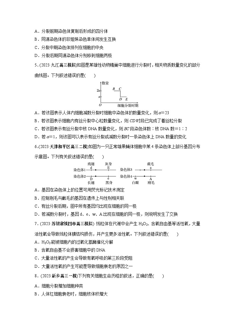 第一篇　主题一　专题(二)　专题强化练 细胞的增殖、分化、衰老和死亡 2024年高考生物二轮复习课件+讲义02