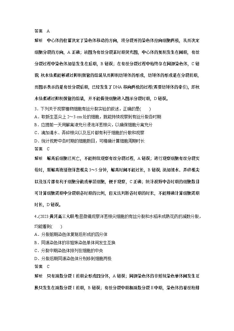 第一篇　主题一　专题(二)　专题强化练 细胞的增殖、分化、衰老和死亡 2024年高考生物二轮复习课件+讲义02