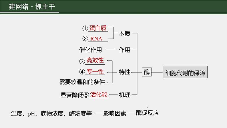 第一篇　主题一　专题(三)　命题点1　物质出入细胞的方式第3页