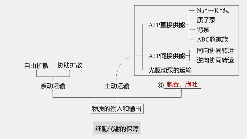 第一篇　主题一　专题(三)　命题点1　物质出入细胞的方式 2024年高考生物二轮复习课件+讲义04