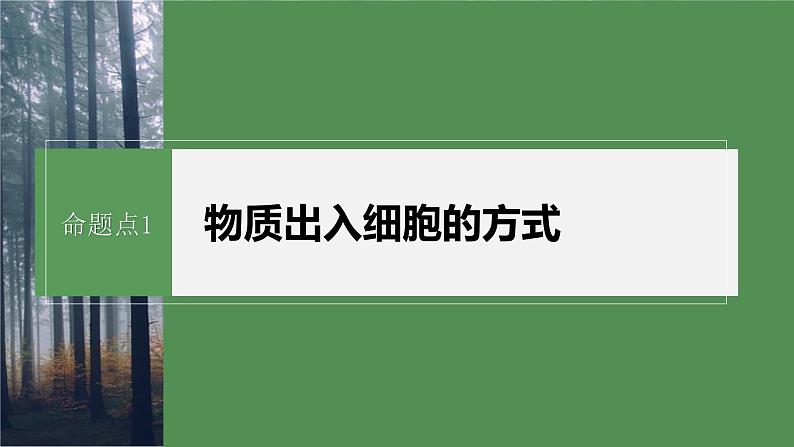 第一篇　主题一　专题(三)　命题点1　物质出入细胞的方式第6页