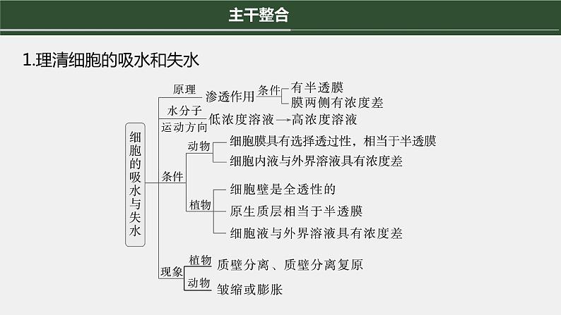 第一篇　主题一　专题(三)　命题点1　物质出入细胞的方式第8页