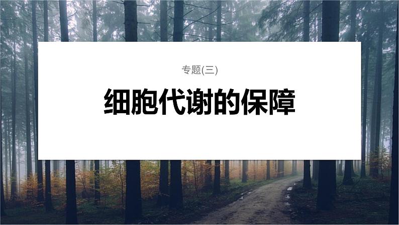 第一篇　主题一　专题(三)　命题点2　酶和ATP在代谢中的作用 2024年高考生物二轮复习课件+讲义01