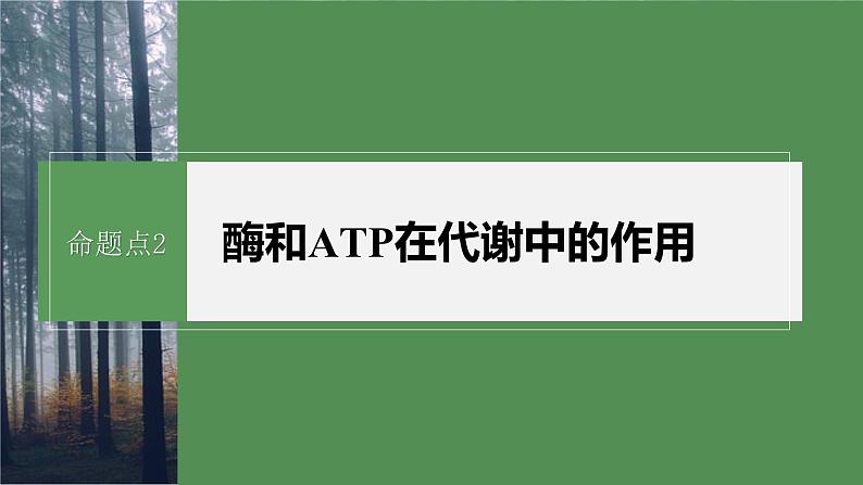 第一篇　主题一　专题(三)　命题点2　酶和ATP在代谢中的作用 2024年高考生物二轮复习课件+讲义02