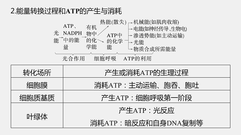 第一篇　主题一　专题(三)　命题点2　酶和ATP在代谢中的作用 2024年高考生物二轮复习课件+讲义05