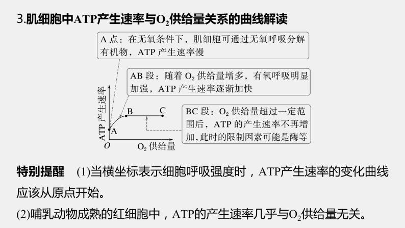 第一篇　主题一　专题(三)　命题点2　酶和ATP在代谢中的作用 2024年高考生物二轮复习课件+讲义07
