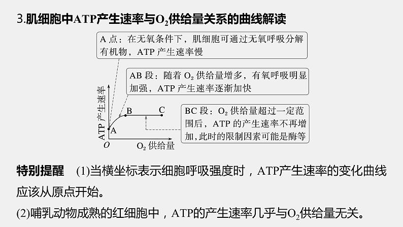 第一篇　主题一　专题(三)　命题点2　酶和ATP在代谢中的作用 2024年高考生物二轮复习课件+讲义07