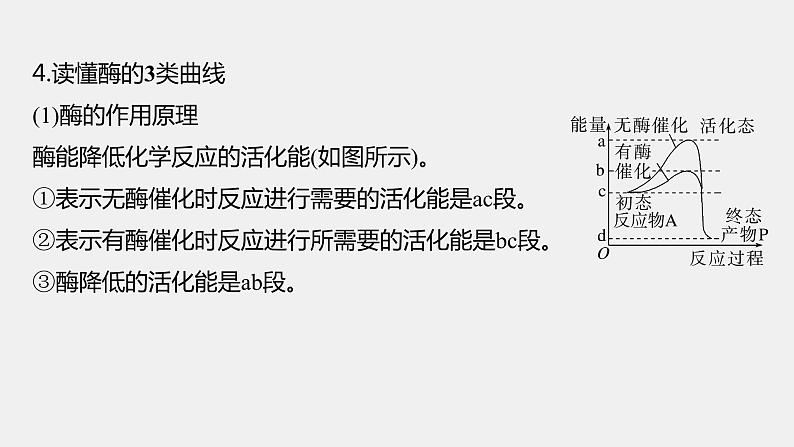 第一篇　主题一　专题(三)　命题点2　酶和ATP在代谢中的作用 2024年高考生物二轮复习课件+讲义08