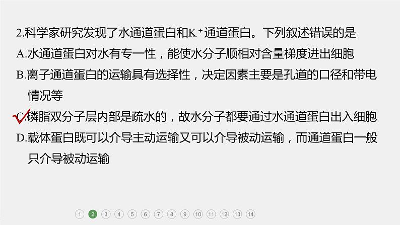 第一篇　主题一　专题(三)　专题强化练 细胞代谢的保障 2024年高考生物二轮复习课件+讲义05