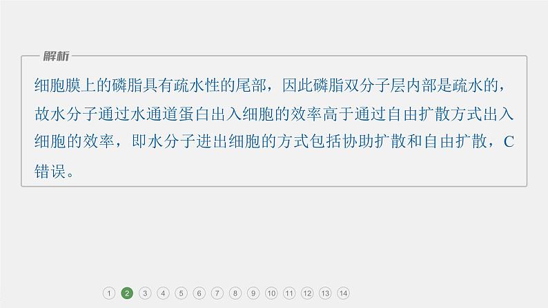 第一篇　主题一　专题(三)　专题强化练 细胞代谢的保障 2024年高考生物二轮复习课件+讲义06