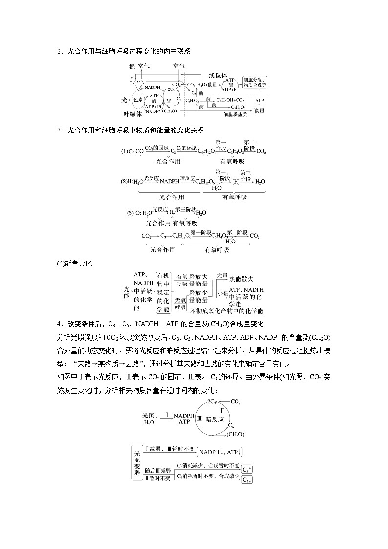 第一篇　主题一　专题(四)　命题点1　光合作用和细胞呼吸的原理第2页