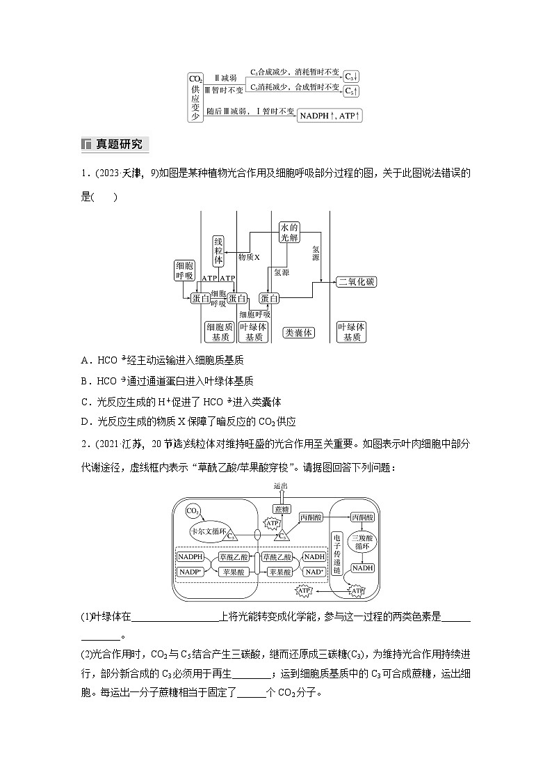 第一篇　主题一　专题(四)　命题点1　光合作用和细胞呼吸的原理第3页