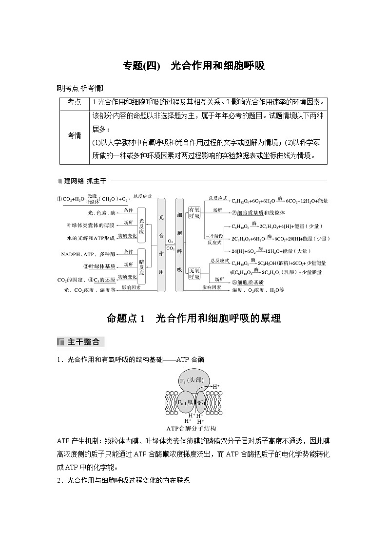 第一篇　主题一　专题(四)　命题点1　光合作用和细胞呼吸的原理（教师版）第1页