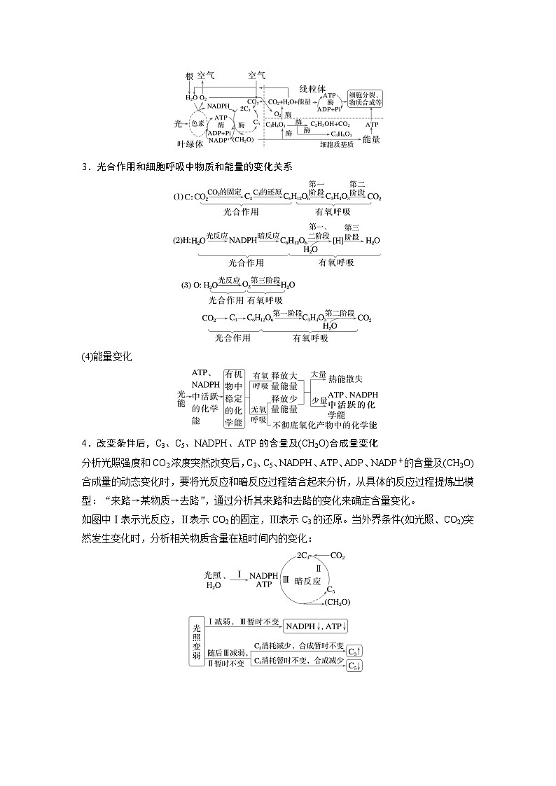 第一篇　主题一　专题(四)　命题点1　光合作用和细胞呼吸的原理（教师版）第2页