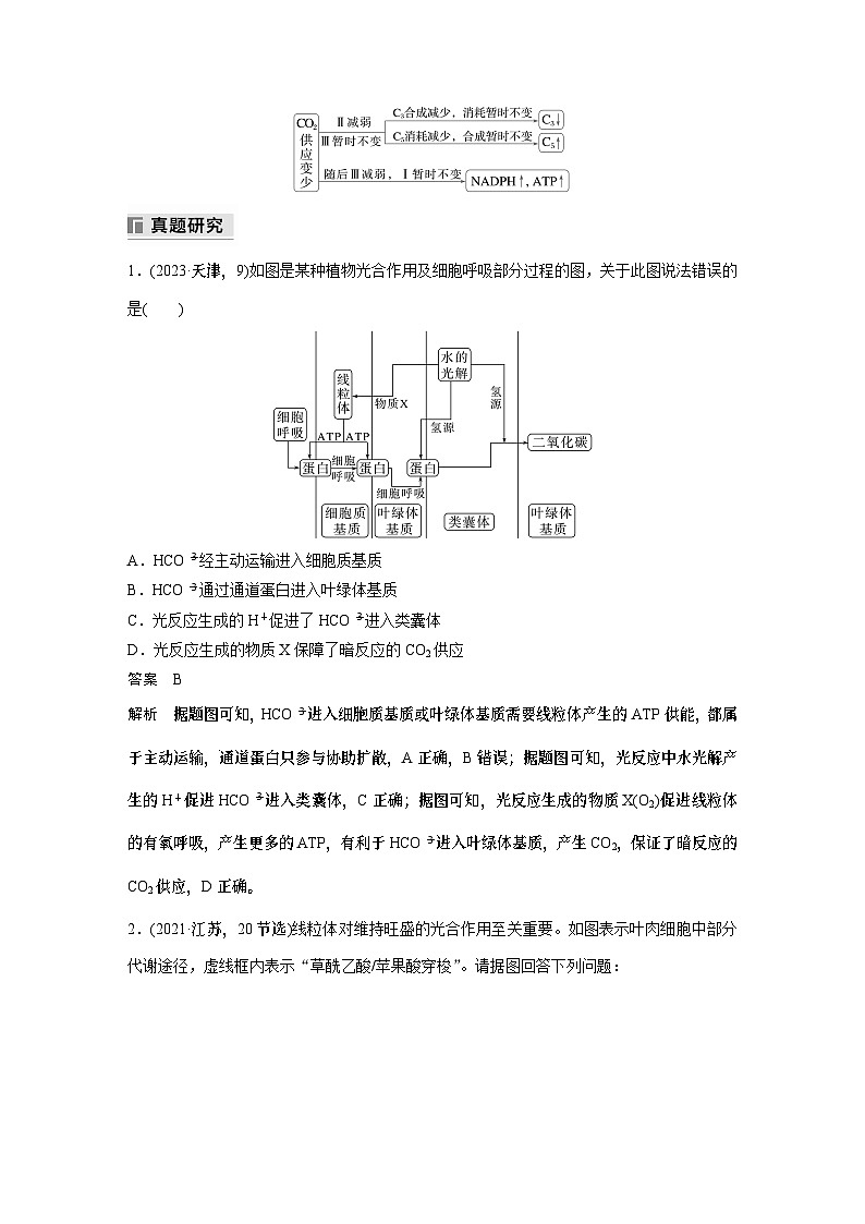 第一篇　主题一　专题(四)　命题点1　光合作用和细胞呼吸的原理（教师版）第3页