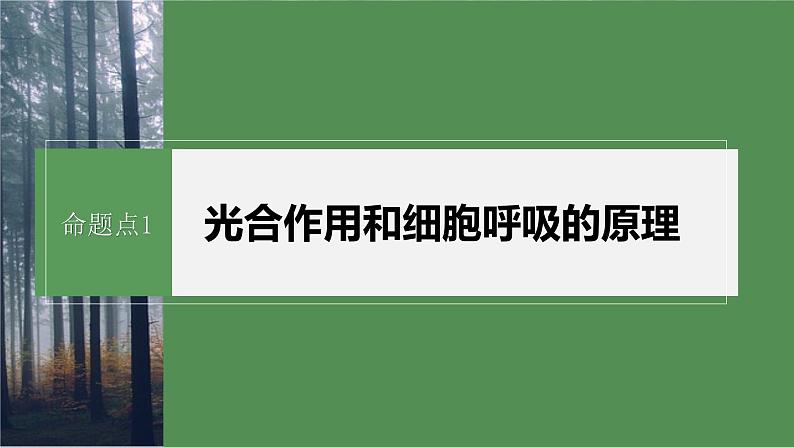 第一篇　主题一　专题(四)　命题点1　光合作用和细胞呼吸的原理第7页