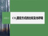 第一篇　主题一　专题(四)　命题点2　CO2固定方式的比较及光呼吸 2024年高考生物二轮复习课件+讲义