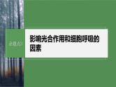 第一篇　主题一　专题(四)　命题点3　影响光合作用和细胞呼吸的因素 2024年高考生物二轮复习课件+讲义