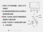 第一篇　主题一　专题(四)　专题强化练A 光合作用和细胞呼吸A 2024年高考生物二轮复习课件+讲义