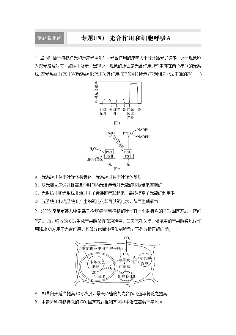 第一篇　主题一　专题(四)　专题强化练A 光合作用和细胞呼吸A 2024年高考生物二轮复习课件+讲义01