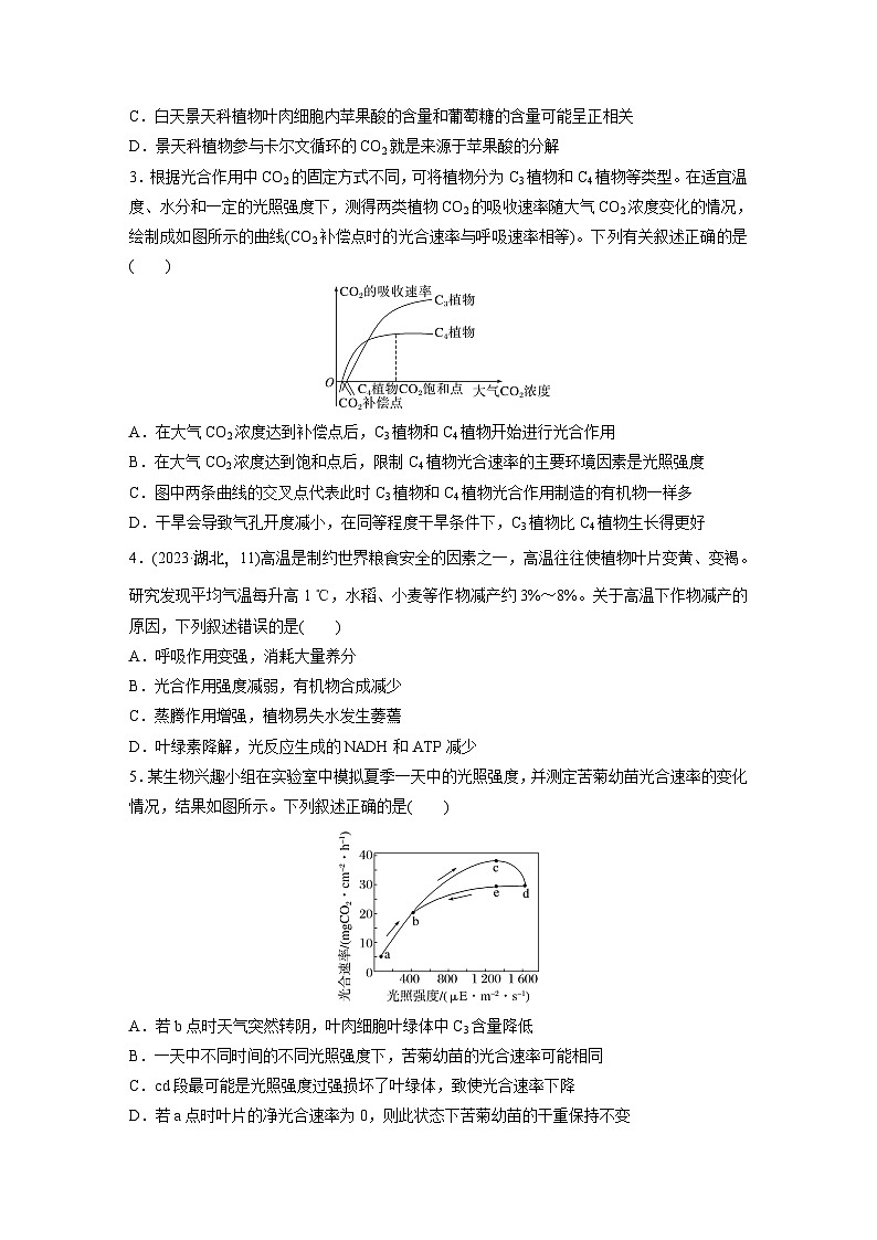第一篇　主题一　专题(四)　专题强化练A 光合作用和细胞呼吸A 2024年高考生物二轮复习课件+讲义02